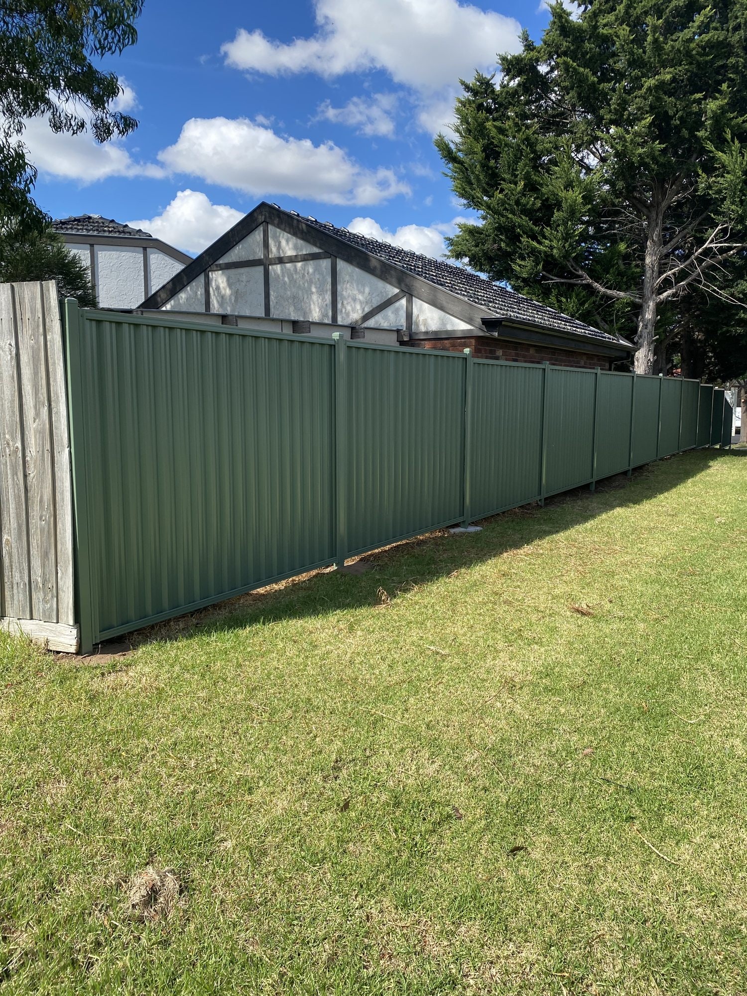 Green metal panel boundary fence across a backyard
